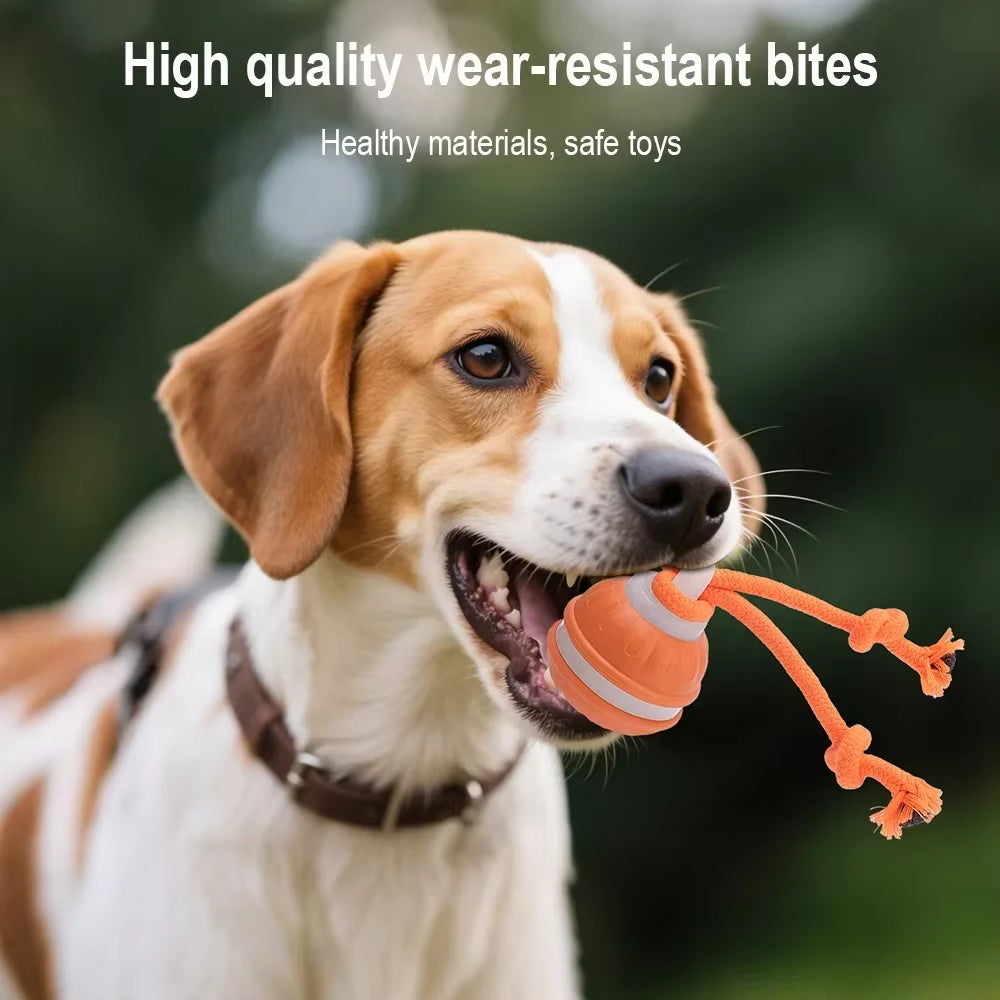 Smart Interactive Rolling Ball Toy for Cats and Dogs - Rechargeable Electric Pet Toy with Faux Tail for Training Fun!