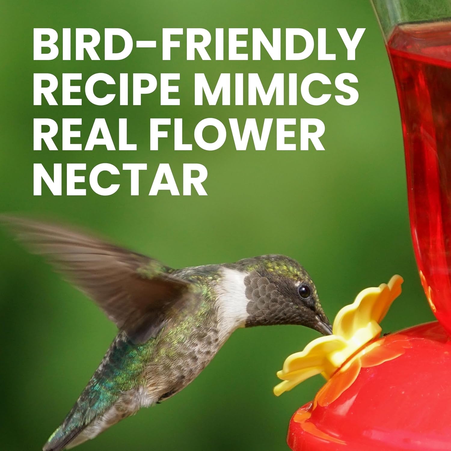 Hummingbird Instant Nectar Powder - 2 Lb Bag - Makes 192 Oz of Sweet Nectar - 100% Sucrose Formula