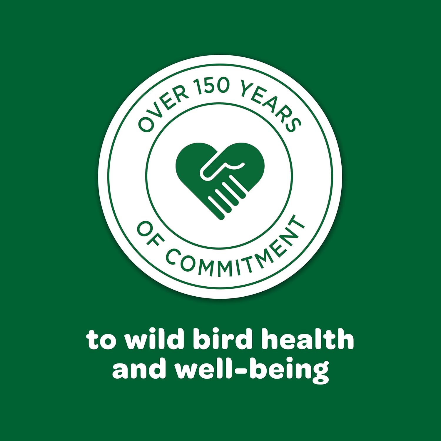 Premium  Wild Bird Food Basic Seed Blend - 5 Lb for Vibrant Backyard Birdwatching