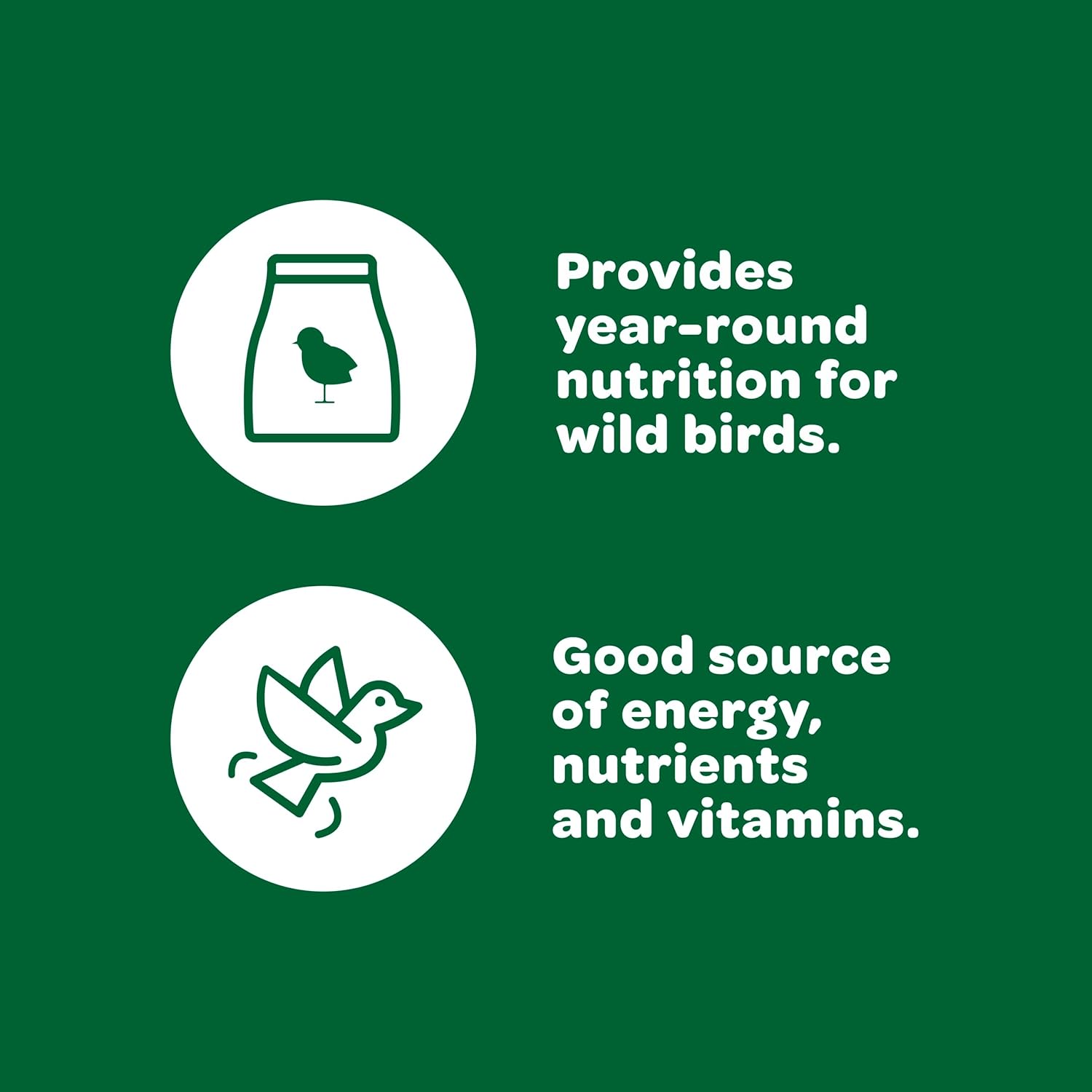 Premium  Wild Bird Food Basic Seed Blend - 5 Lb for Vibrant Backyard Birdwatching