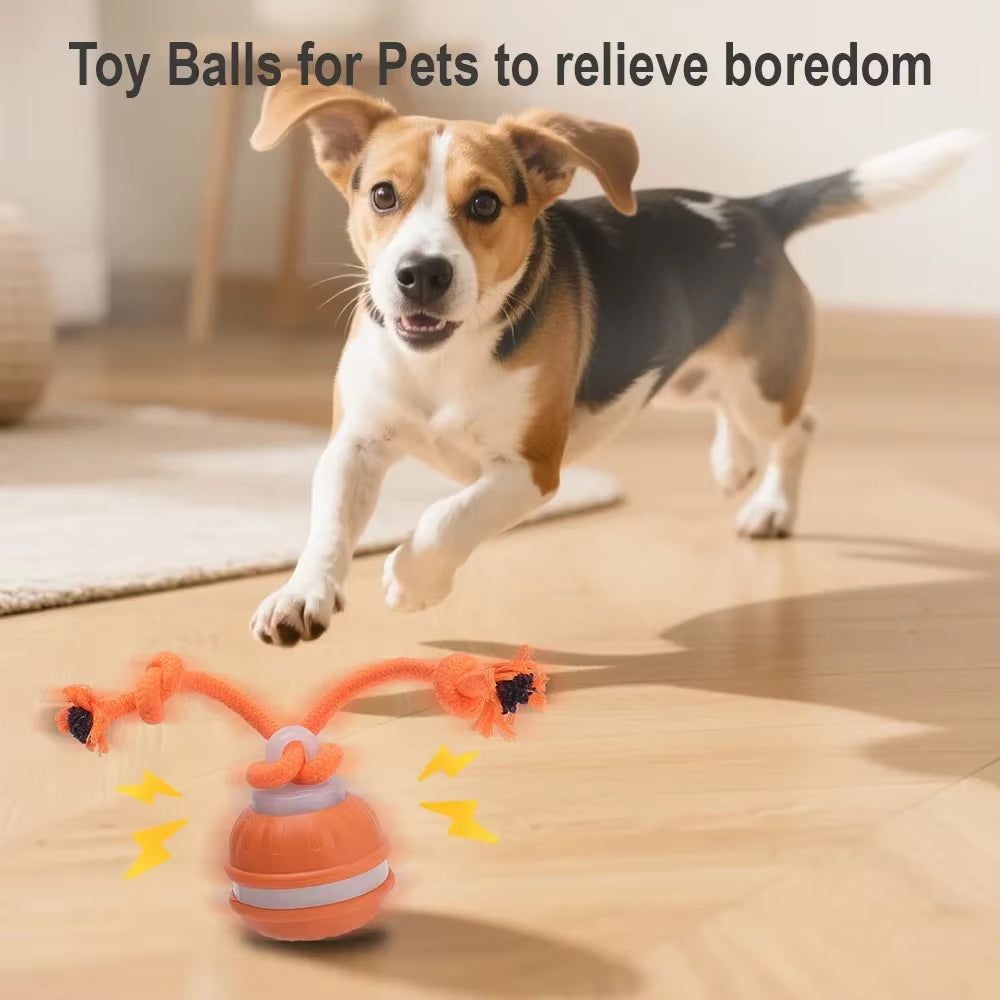 Smart Interactive Rolling Ball Toy for Cats and Dogs - Rechargeable Electric Pet Toy with Faux Tail for Training Fun!