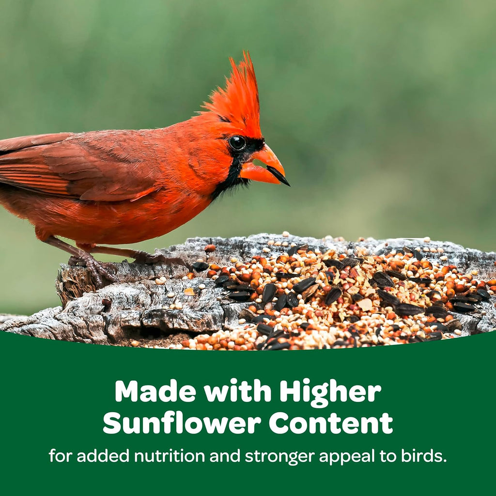 Premium  Wild Bird Food Basic Seed Blend - 5 Lb for Vibrant Backyard Birdwatching