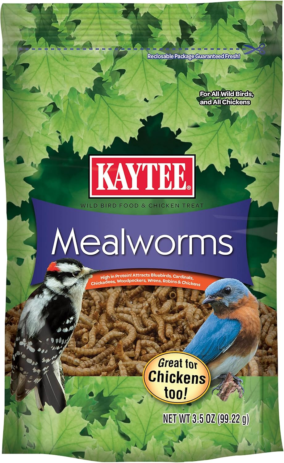 Premium  Mealworms Wild Bird Food - Attract Bluebirds, Wrens, Robins, Chickadees, Woodpeckers, Cardinals & Chickens - 3.5 Ounce Pack
