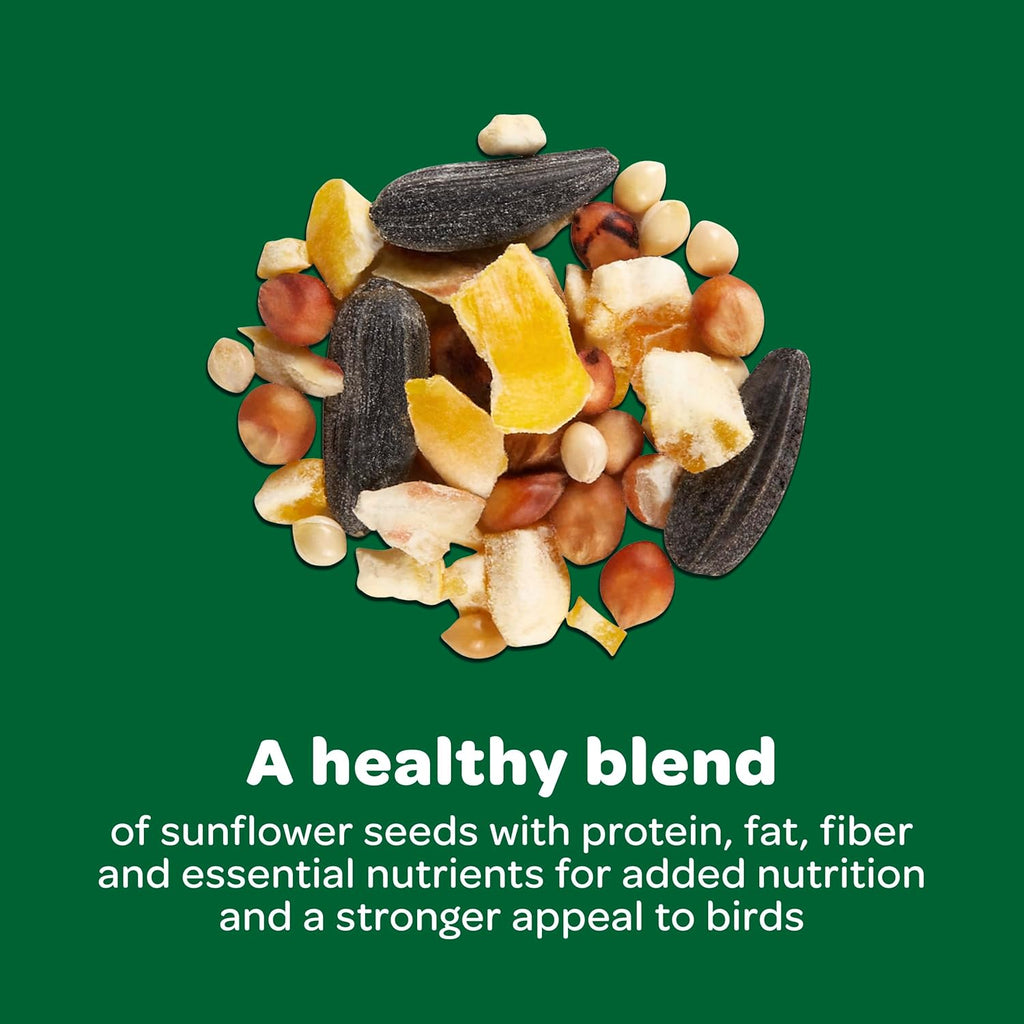 Premium  Wild Bird Food Basic Seed Blend - 5 Lb for Vibrant Backyard Birdwatching