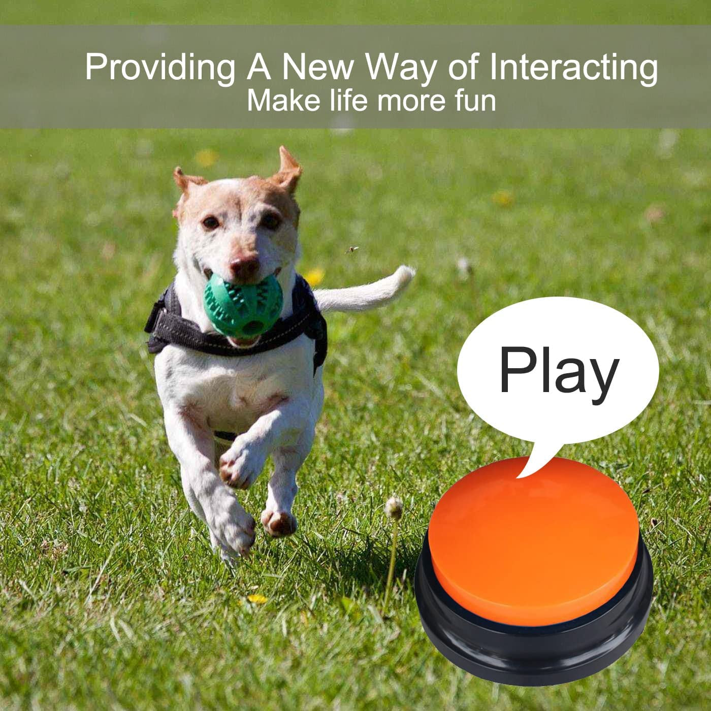 4-Color Voice Recording Buttons for Dogs - 30-Second Communication Buzzer, Perfect for Pet Training & Fun Gifts for Home, Office, or Study