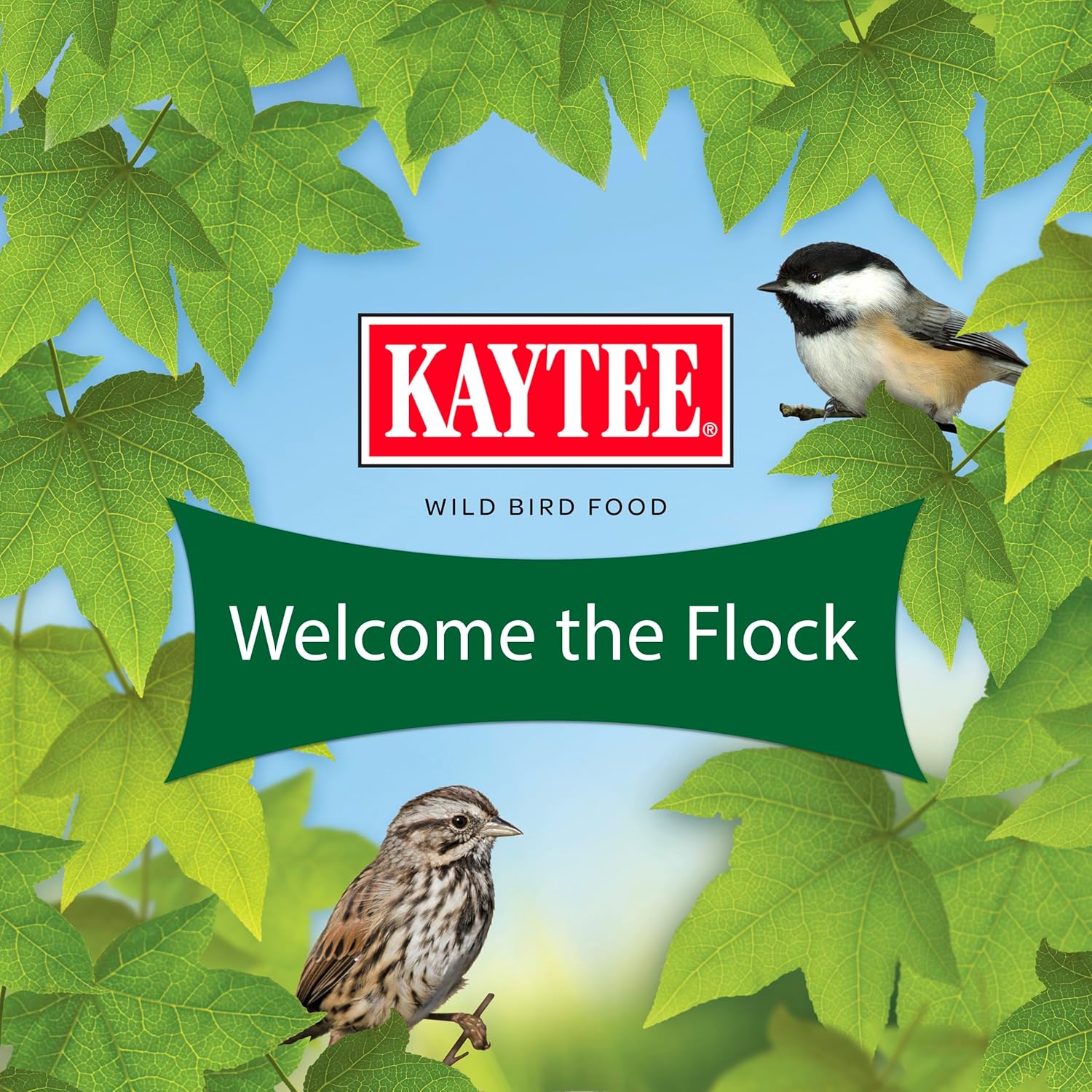 Premium  Wild Bird Food Basic Seed Blend - 5 Lb for Vibrant Backyard Birdwatching