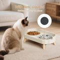 Elevated Cat Bowl Set - Splash Proof Raised Food & Water Bowls with 2 Stainless Steel Bowls for Cats & Puppies - Whisker Fatigue Relief & Dishwasher Safe - Stylish White Design
